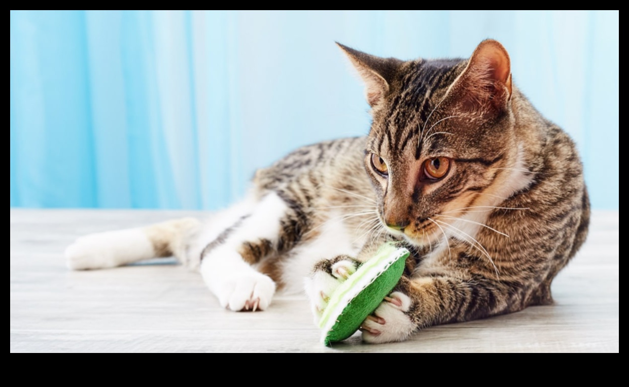 Kedi Nanesi El Sanatları: Kedi Nanesi ile Aşılanmış Kendin Yap Oyuncaklar Yapımı