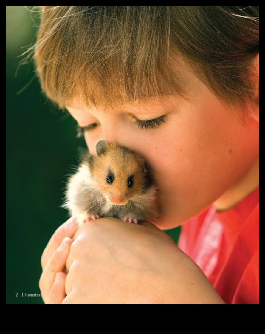 Hamster Bakımının Zen'i: Sakin ve Mutlu Bir Ortam Yaratmak