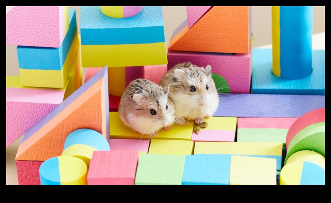 Hamster Bakımının Zen'i: Sakin ve Mutlu Bir Ortam Yaratmak