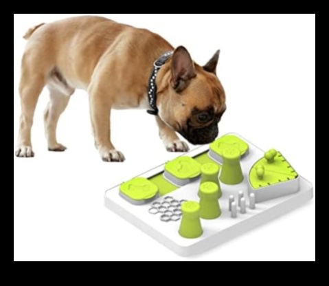 Paw-some Puzzles Köpekler ve Kediler İçin Zihinsel Uyarım